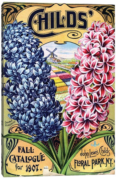 Double Hyacinth, 1907, from the Andersen Horticultural Library Canvas Art Print - Gardening Art