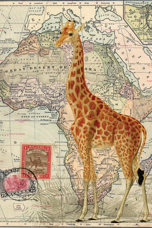 Giraffe on Vintage Map of Africa