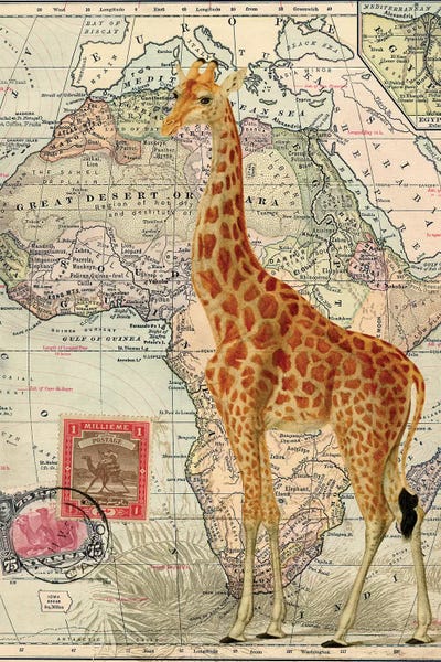 Piddix: Giraffe on Vintage Map of Africa by Piddix