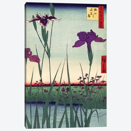Iris Garden, Japanese Woodcut 1800s Canvas Print #PDX80} by Piddix Canvas Art
