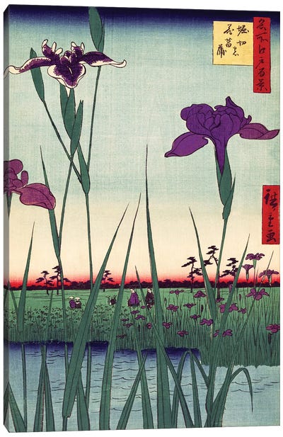 Iris Garden, Japanese Woodcut 1800s Canvas Art Print - Piddix