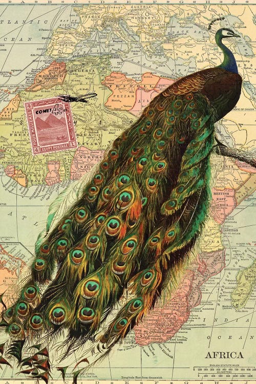 Peacock Collage on Map of Africa by Piddix wall art