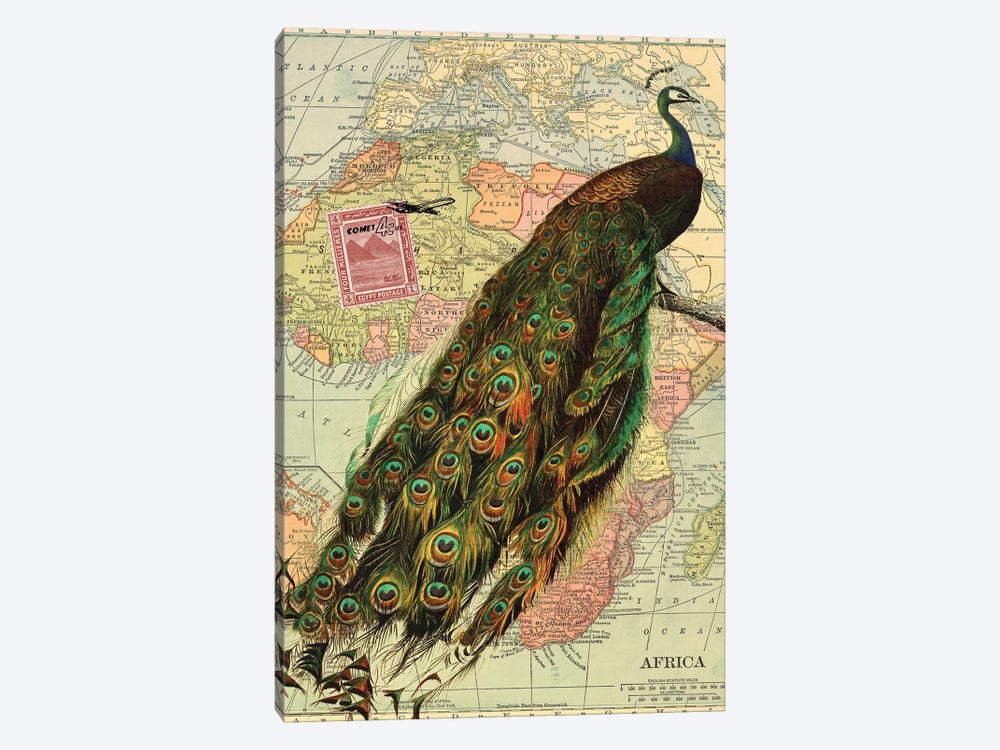 Peacock Collage on Map of Africa by Piddix 1-piece Canvas Artwork