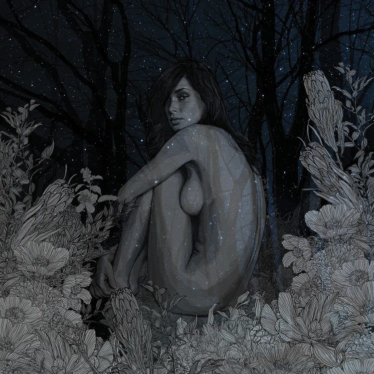 Midnight Romance by Pedro Tapa wall art