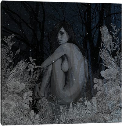 Midnight Romance Canvas Art Print - Pedro Tapa
