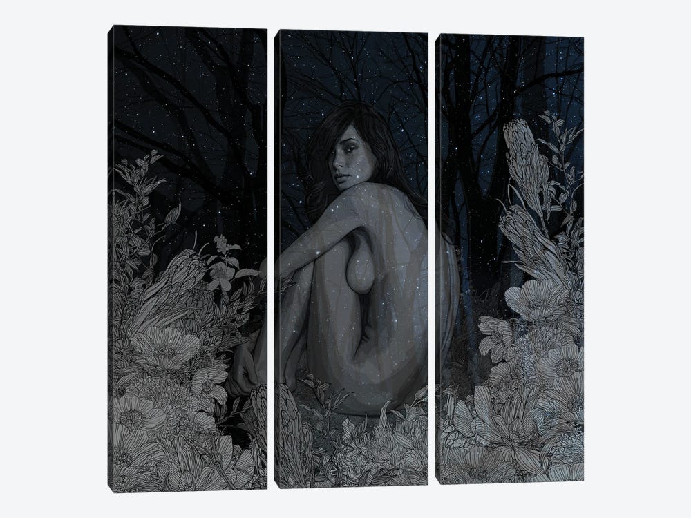 Midnight Romance by Pedro Tapa 3-piece Canvas Artwork