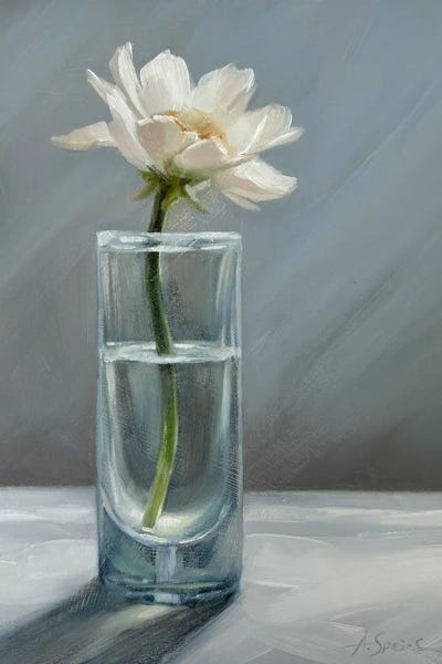 Flower In A Glass by Anna Speirs canvas print
