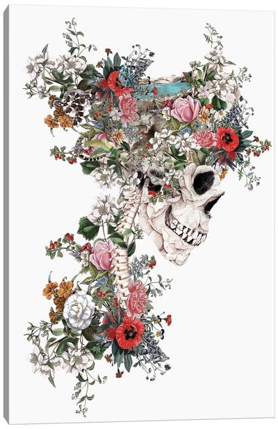 Skull Queen Canvas Art Print - Riza Peker
