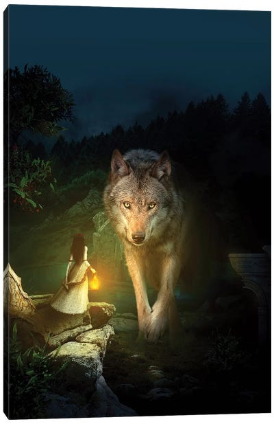 The Wolf Canvas Art Print - Riza Peker