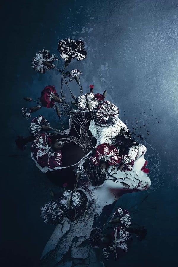 Carnations