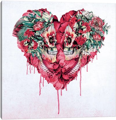 Forever Love I Canvas Art Print - Carnations