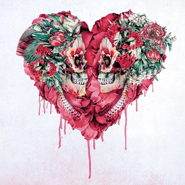 Carnations: Forever Love I by Riza Peker