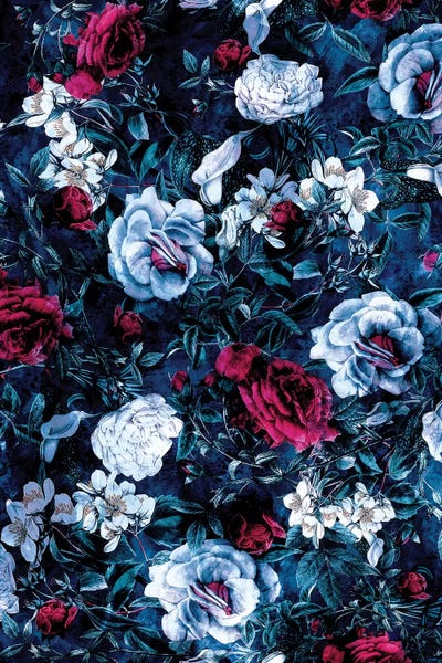 Carnations: Night Garden Blue by Riza Peker