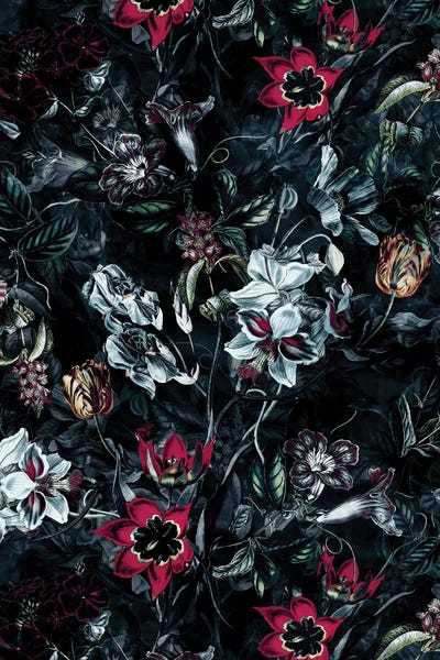 Poinsettias: Night Garden II by Riza Peker