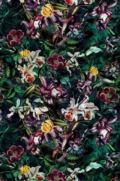 Irises: Secret Garden 10K by Riza Peker