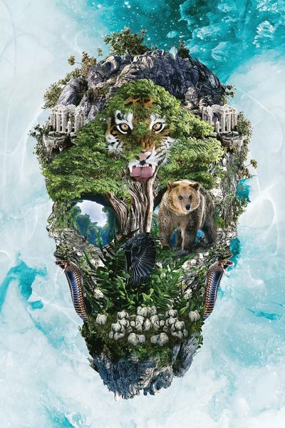 Skulls: Skull Nature III by Riza Peker