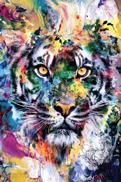 Tiger VII by Riza Peker canvas print