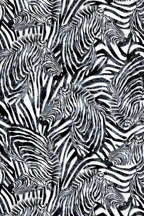 Zebra Pattern