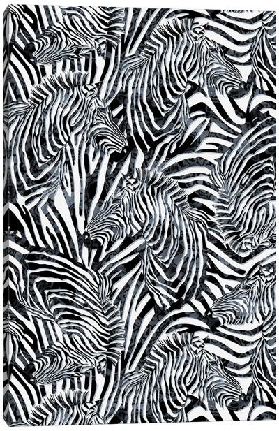 Zebra Pattern Canvas Art Print - Riza Peker