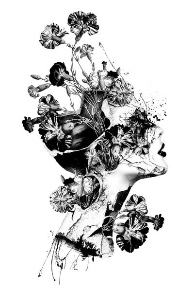 Black & White Digital Art: Broken BW by Riza Peker