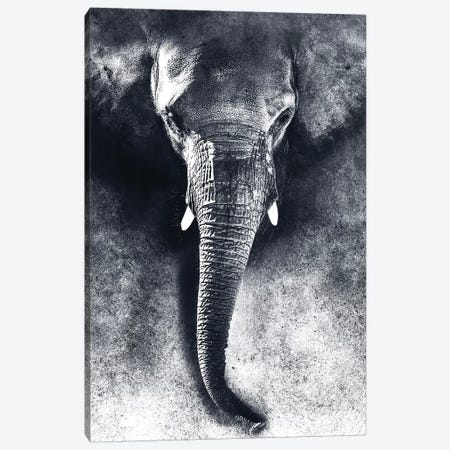 Elephant BW Canvas Print #PEK151} by Riza Peker Art Print