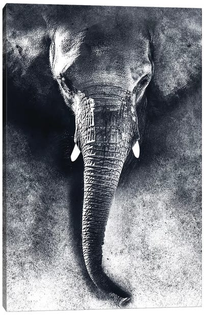 Elephant BW Canvas Art Print - Riza Peker