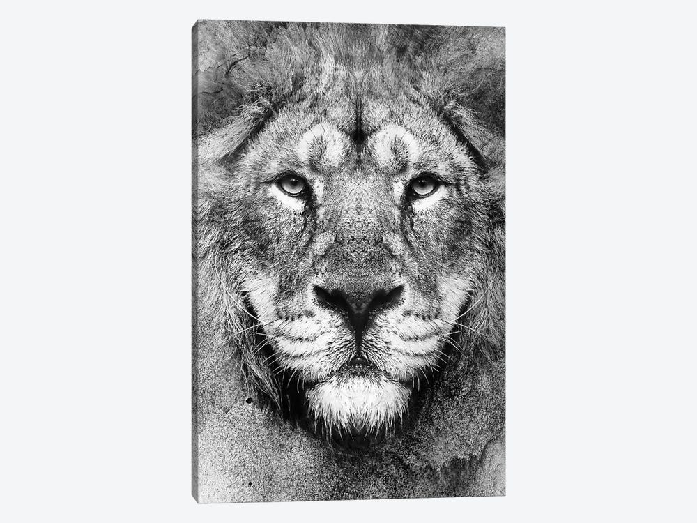 Lion BW II by Riza Peker 1-piece Canvas Art Print