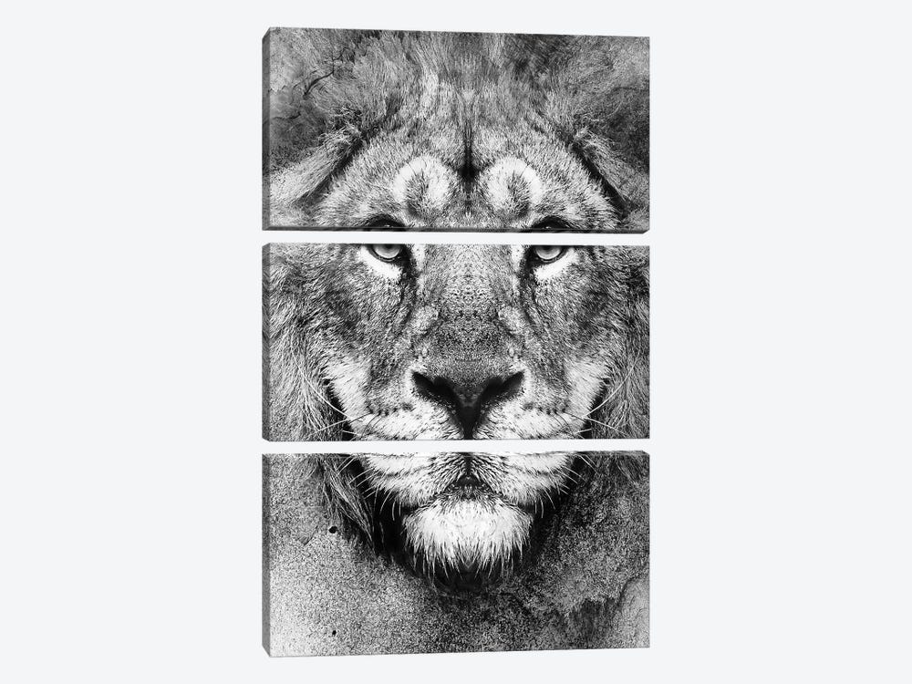 Lion BW II by Riza Peker 3-piece Canvas Art Print