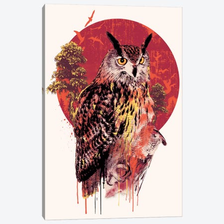 Owl IV Canvas Print #PEK157} by Riza Peker Canvas Wall Art