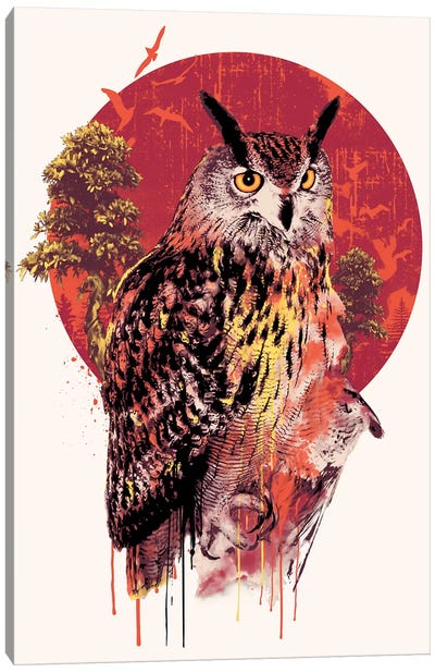 Owl IV Canvas Art Print - Riza Peker