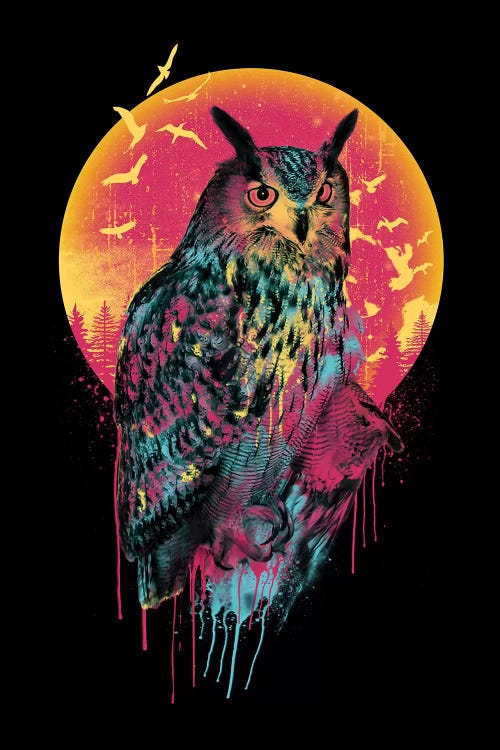 Owl VI