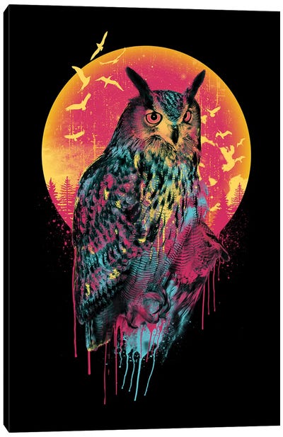 Owl VI Canvas Art Print - Riza Peker