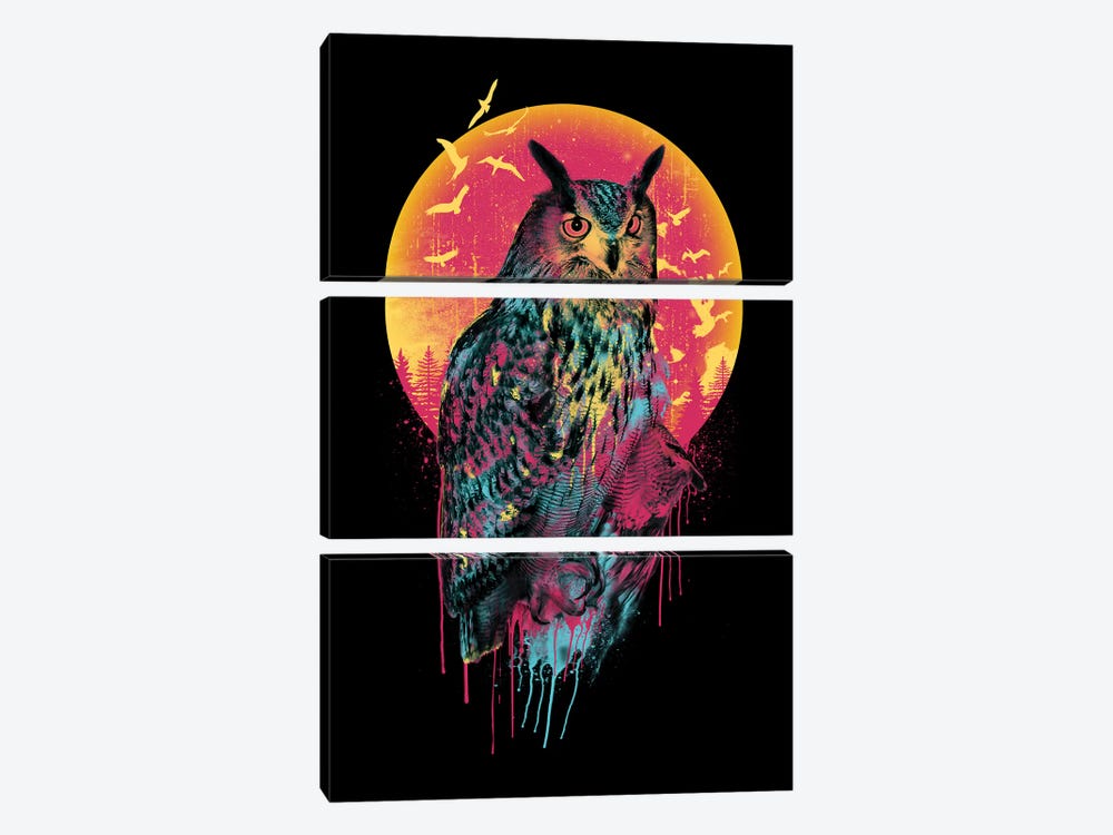 Owl VI by Riza Peker 3-piece Canvas Art Print