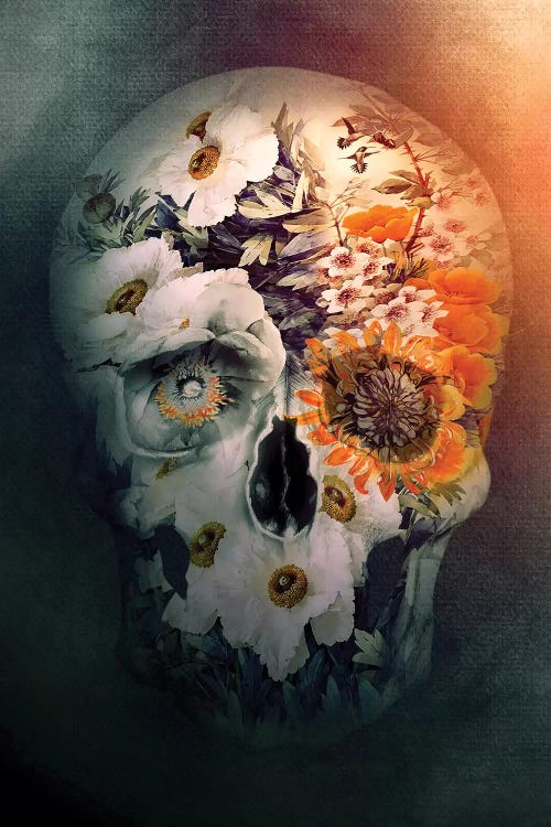 Skull Still Life by Riza Peker wall art