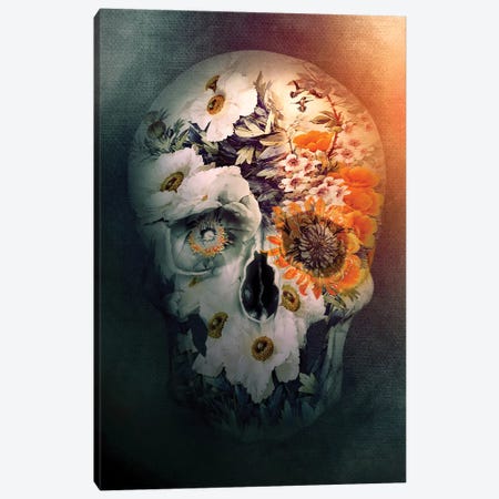 Skull Still Life Canvas Print #PEK166} by Riza Peker Art Print