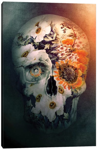 Skull Still Life Canvas Art Print - Riza Peker