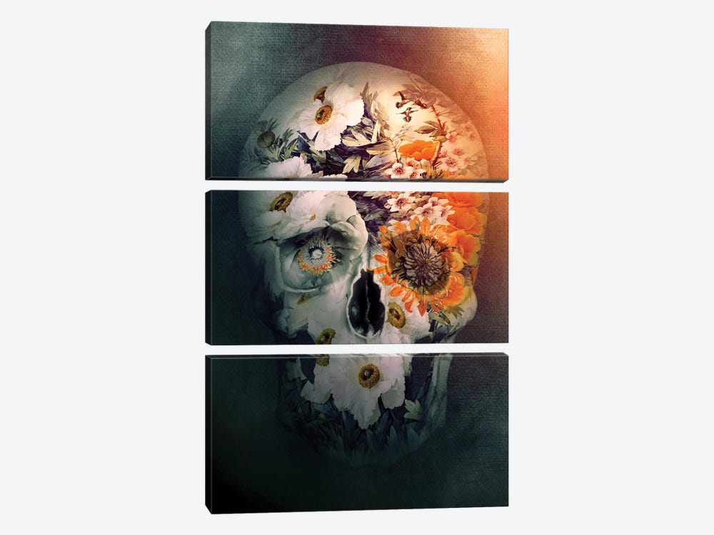 Skull Still Life by Riza Peker 3-piece Canvas Art