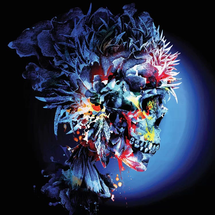 Skull Vivid by Riza Peker wall art