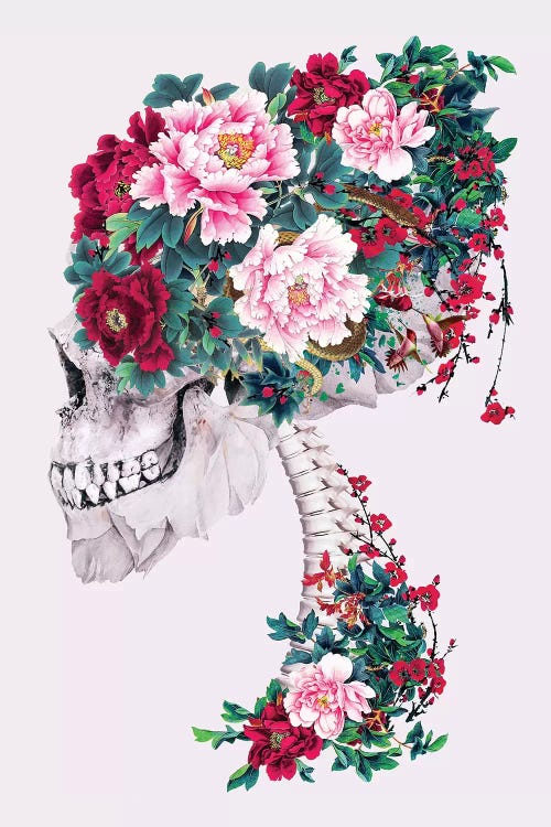 Skull with Peonies by Riza Peker wall art