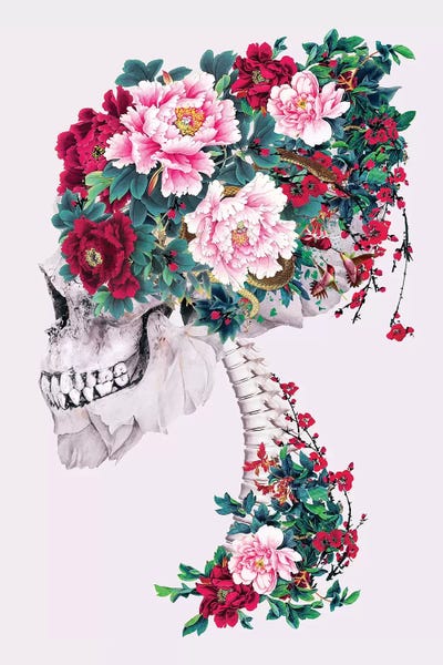 Peonies: Skull with Peonies by Riza Peker