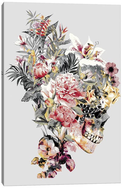 Skull XII Canvas Art Print - Riza Peker