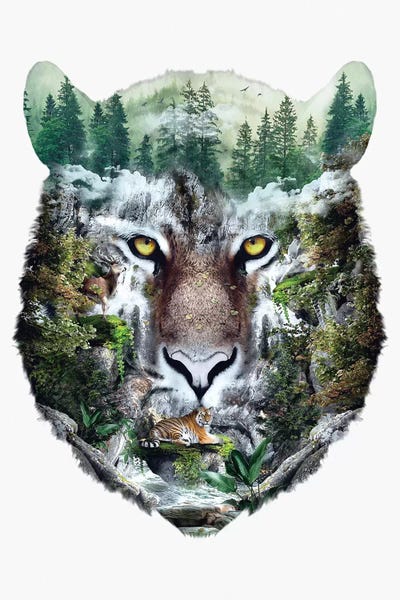 Tigers: Tiger by Riza Peker