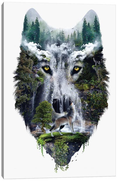 Wolf Canvas Art Print - Riza Peker