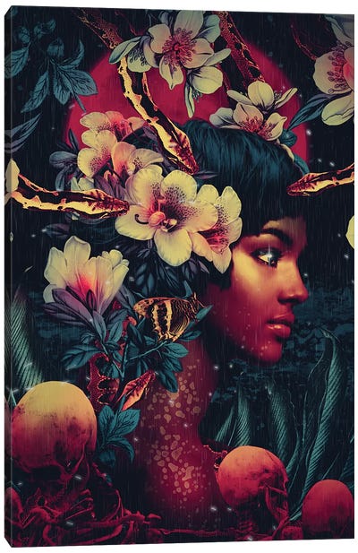 Poisonous Beauty Canvas Art Print - Riza Peker