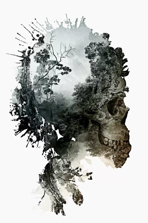 Metamorphosis