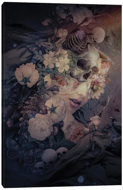 Dark To Light Ii Canvas Art Print - Skeleton Art