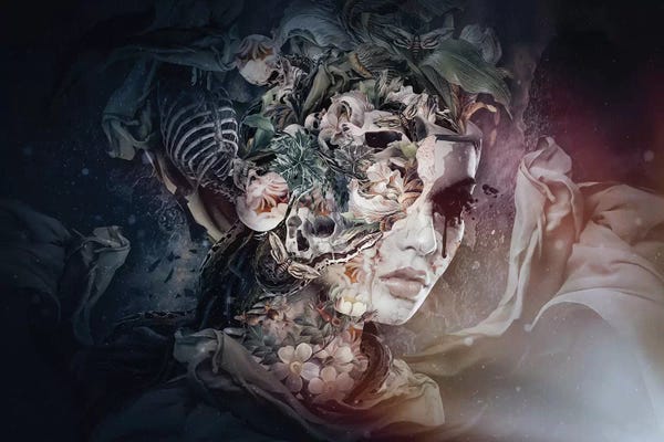 Skeletons: Light In The Dark by Riza Peker