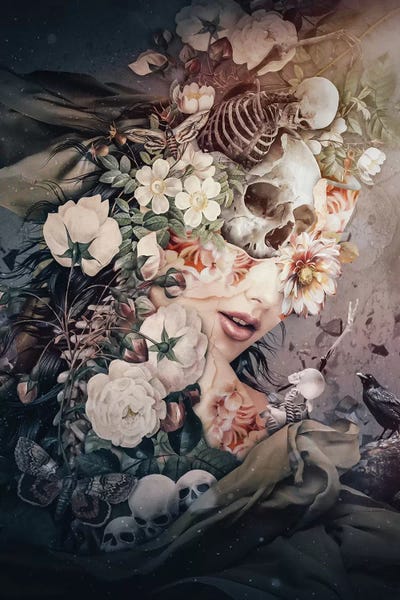 Santa Fe: Dark To Light by Riza Peker