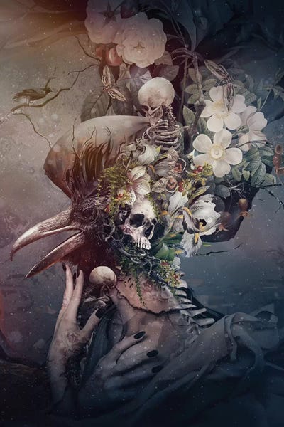 Skeletons: Raven Iii by Riza Peker