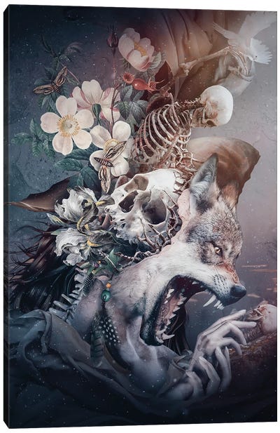 Wolf In Moonlight Canvas Art Print - Riza Peker